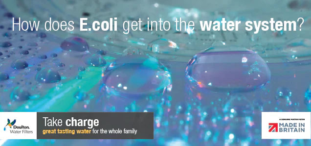 E. coli & Drinking Water: Can A Water Filter Help?