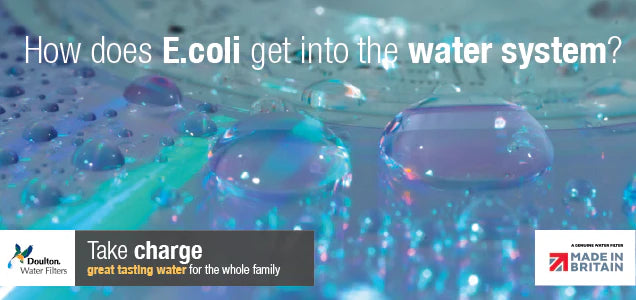 E. coli & Drinking Water: Can A Water Filter Help?