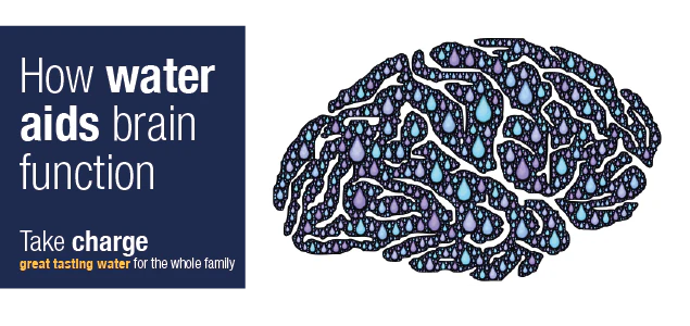 Water and Brain Function: How Can Drinking Water Help Concentration?