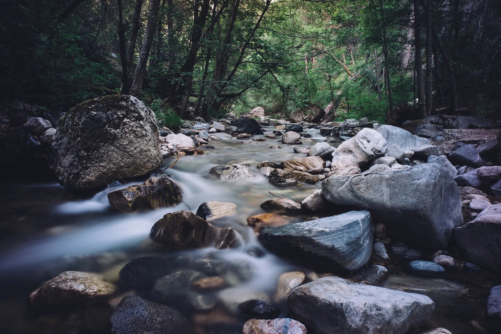 Raw Water: The Health Craze That Could Make You Ill
