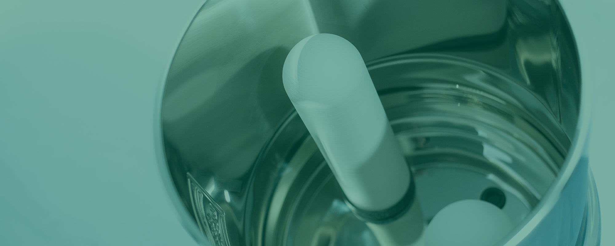 replacement water filter