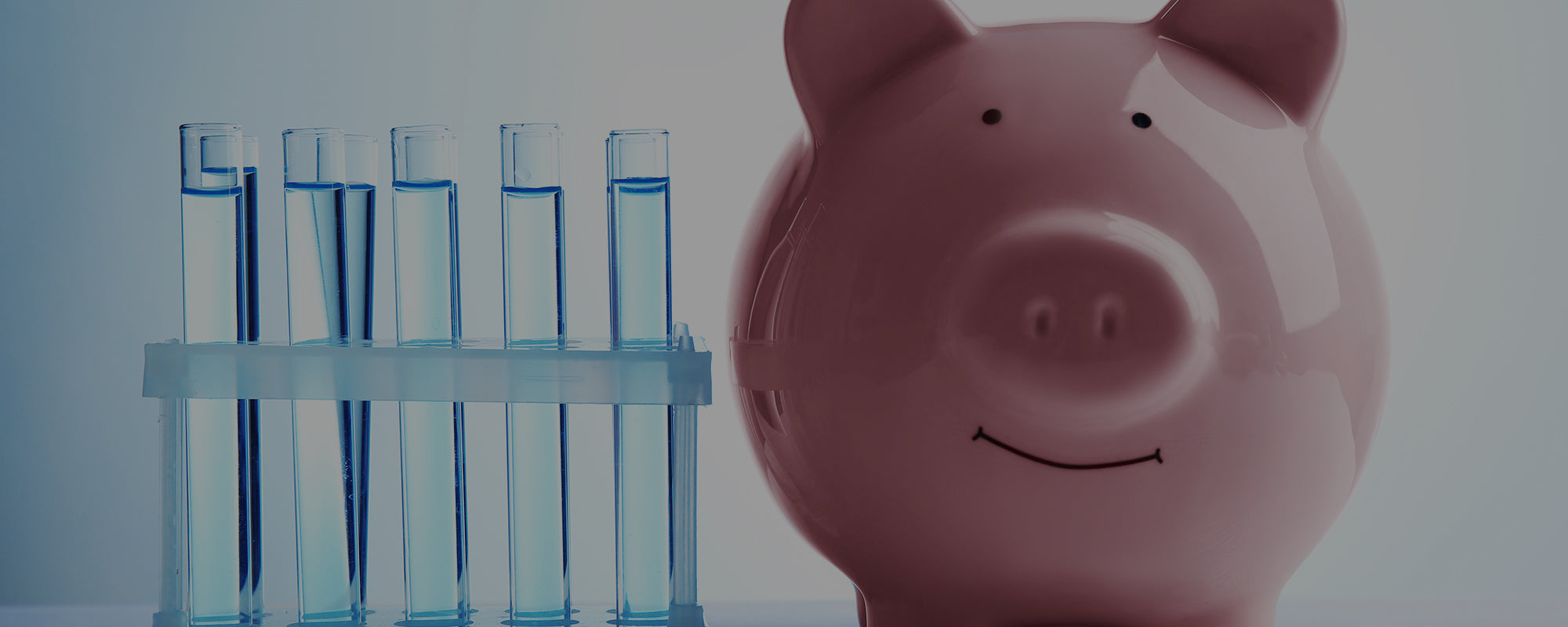 An image of a piggy bank and tubes of water