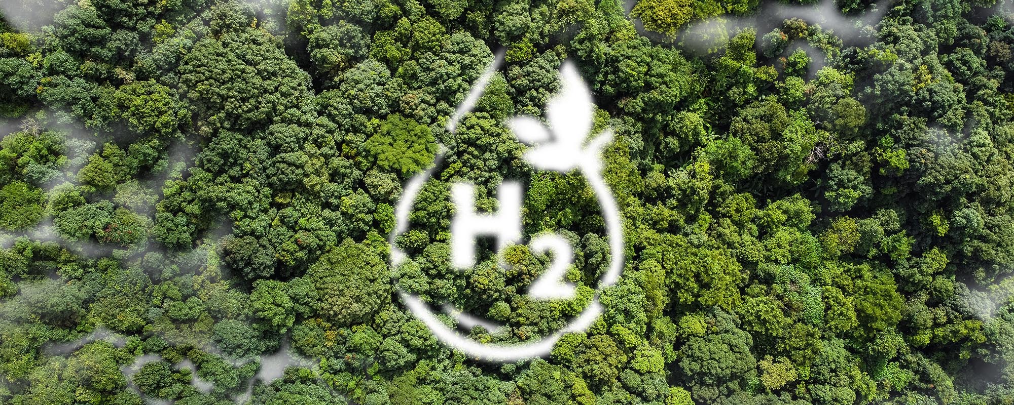 sustainable future for the environment.