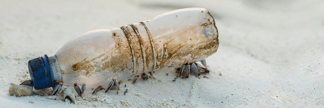 Make a Habit of Sustainable Choices - Start With Your Drinking Water