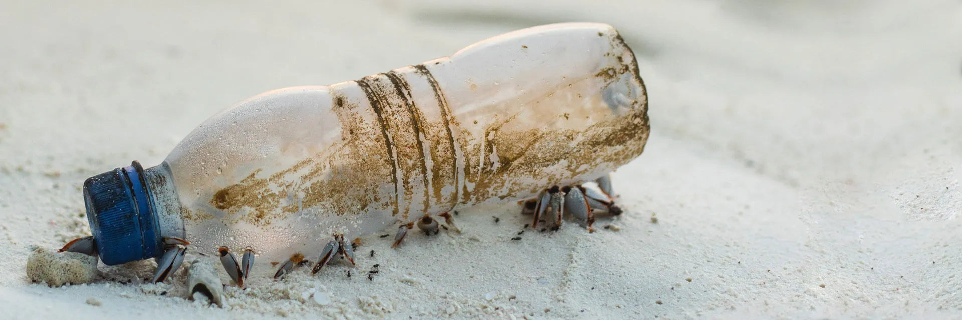 Make a Habit of Sustainable Choices - Start With Your Drinking Water