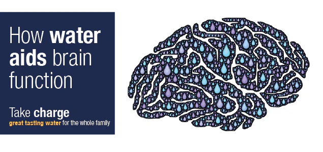Water and Brain Function: How Can Drinking Water Help Concentration?