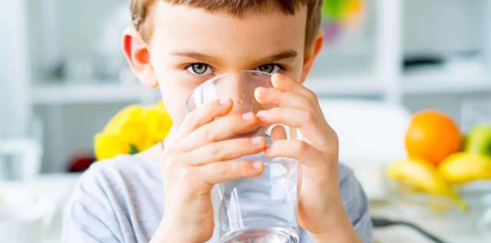 Longevity V Single-Use Plastic: Doulton's 180 Years' Experience Creating Sustainable Water Filtration