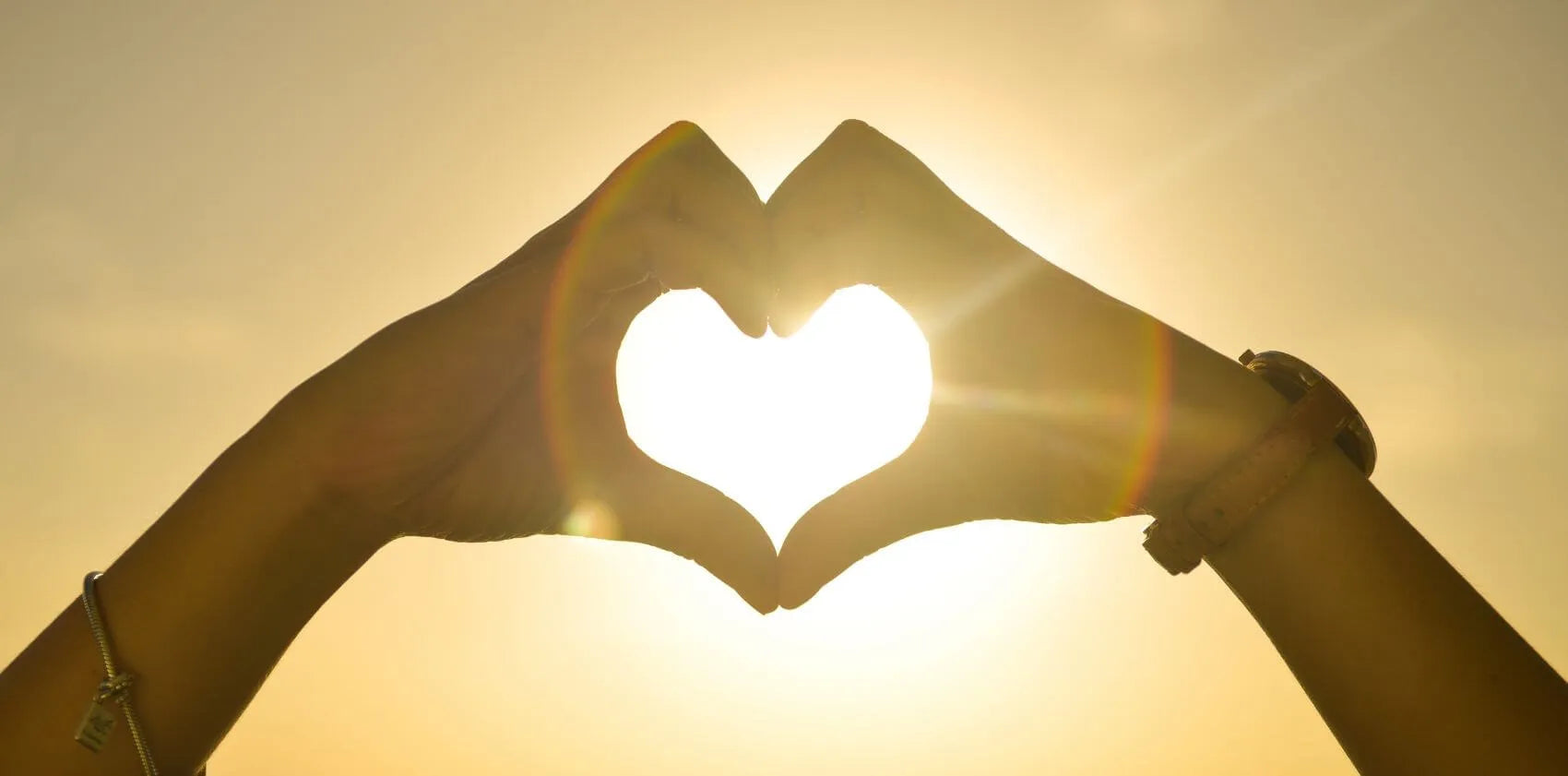 How To Have A Healthy Heart