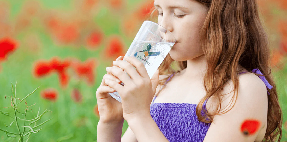 What A Difference A Decade Makes: Sustainable Living, Wellness & Drinking Water