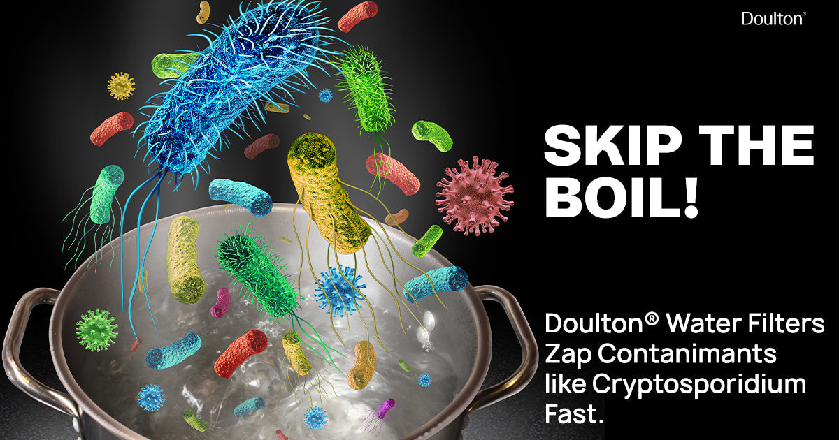 Combat cryptosporidium after the recent outbreak