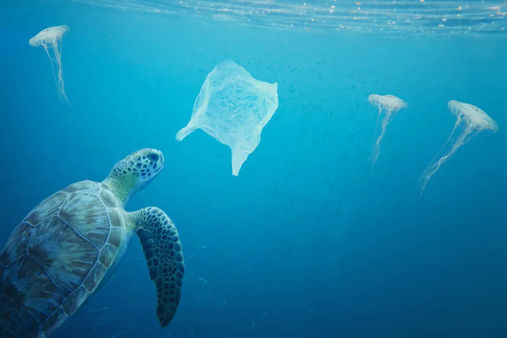 Plastic Pollution: Interesting Facts & Statistics You Didn't Already Know