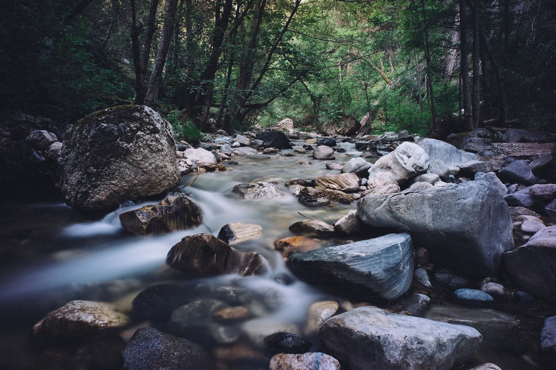 Raw Water: The Health Craze That Could Make You Ill