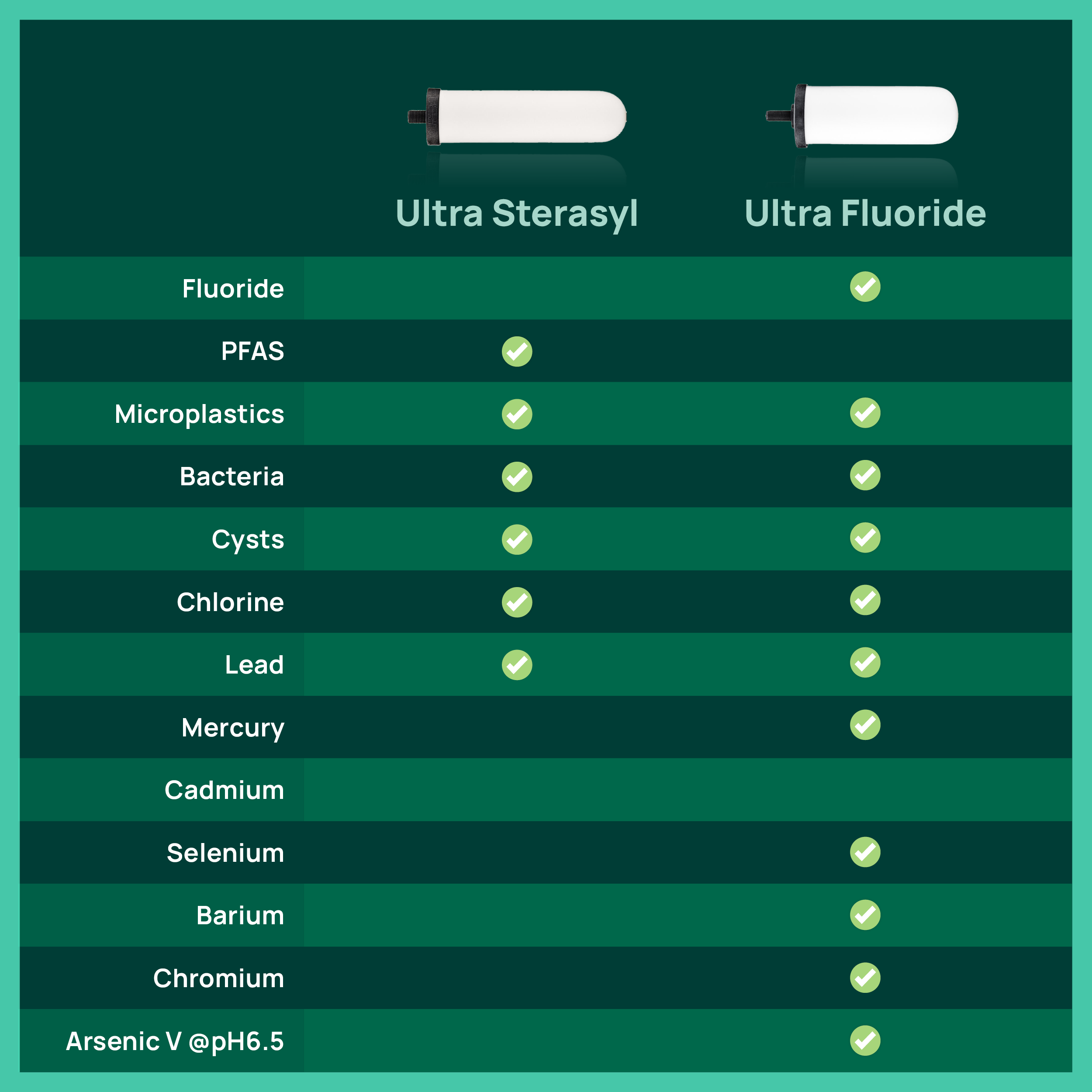 British Berkefeld® Stainless Steel Gravity System + Ultra Fluoride Ceramic Filters