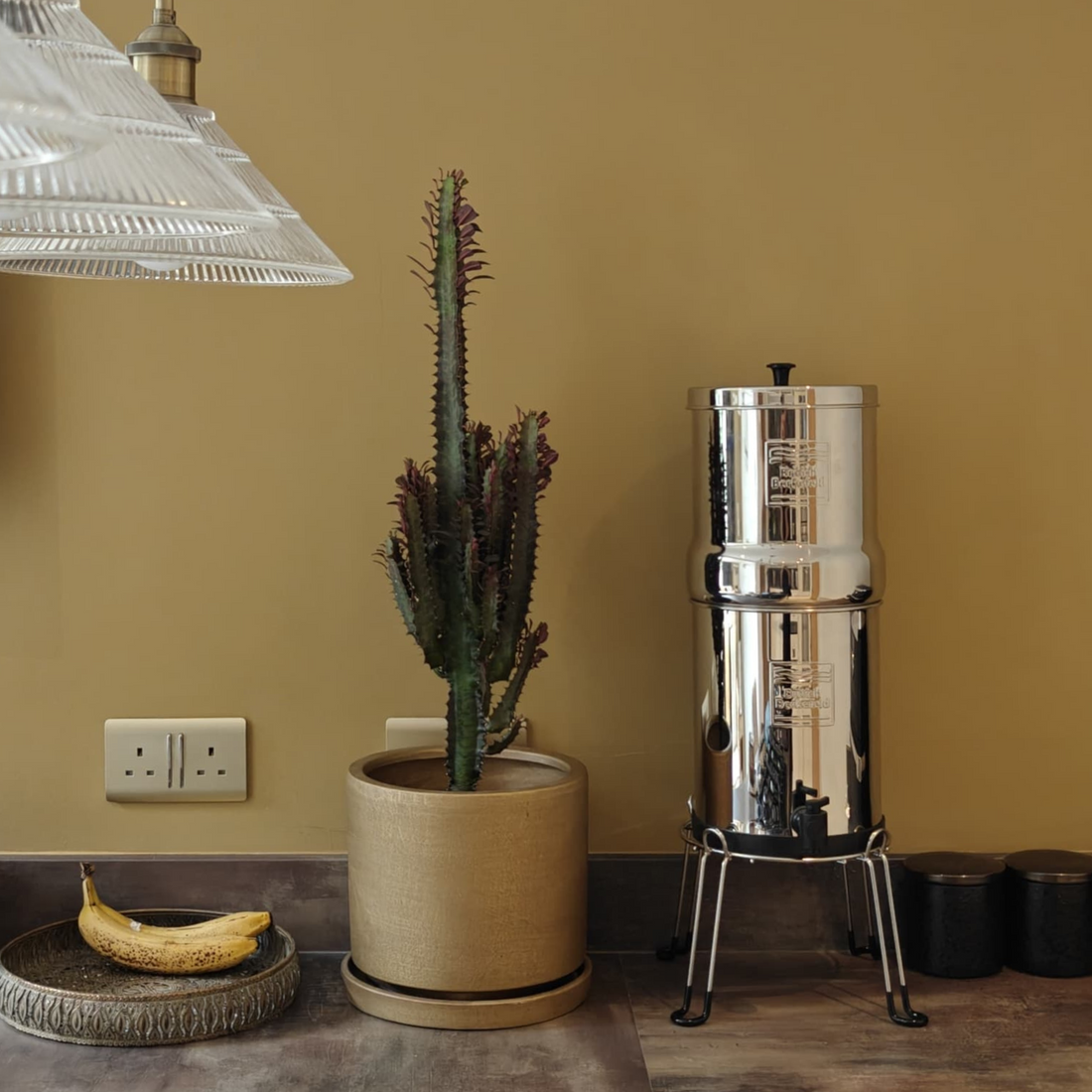 Silver British Berkefeld water filter next to a potted cactus on a countertop with a mustard yellow wall background.