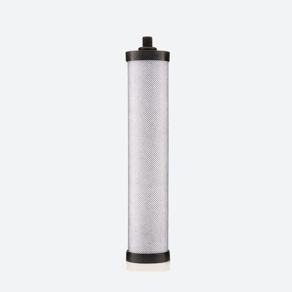 An image of a Chlorine cartridge 