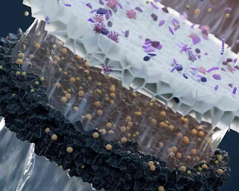 macro close up water filter system