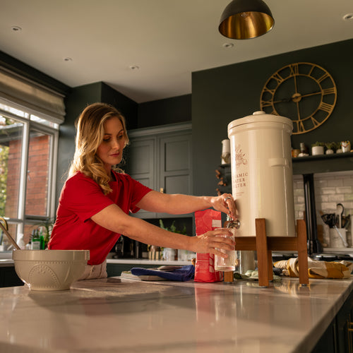 Doulton® Heritage Gravity Filter System
