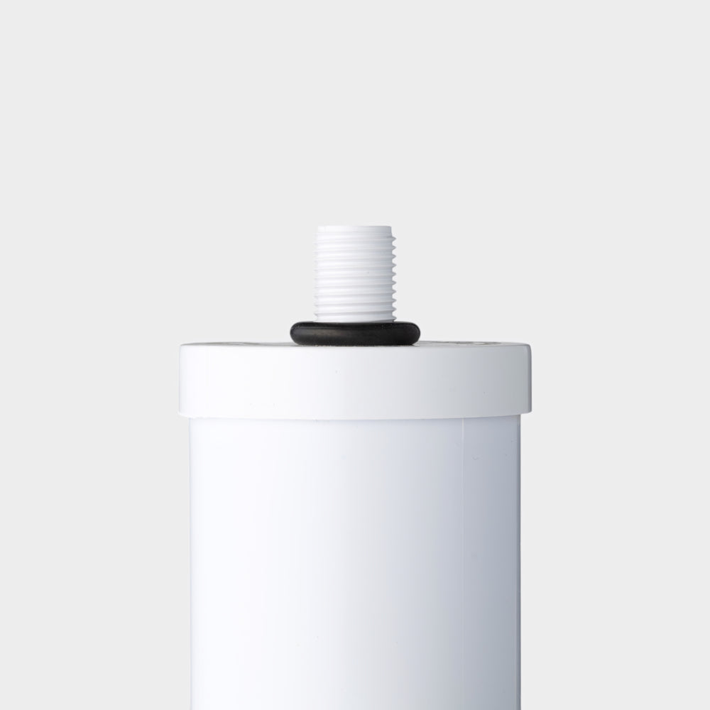 Nitrate cartridge