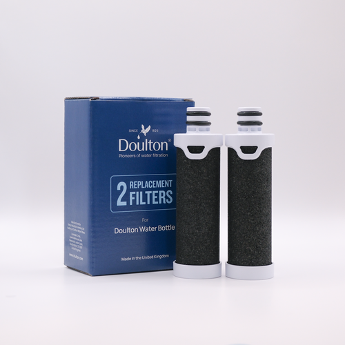 Water bottle filter with carton