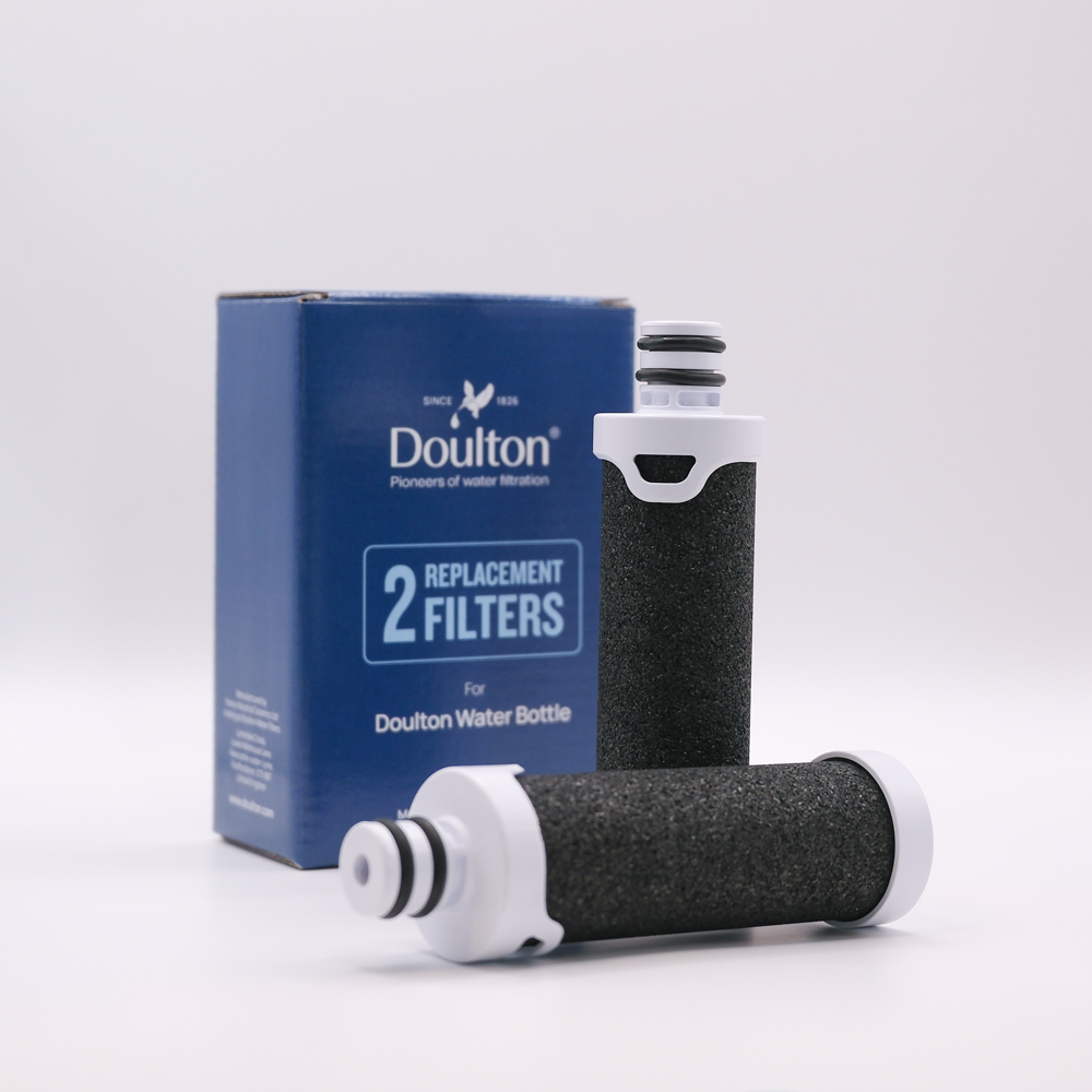 Water bottle filter with carton