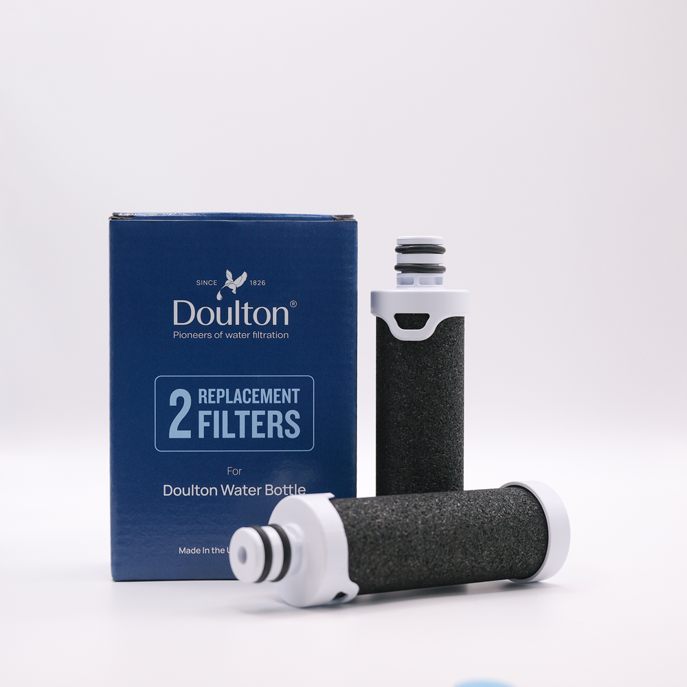 Water bottle filter with carton