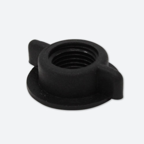 Ein Bild einer Flügelnuss 