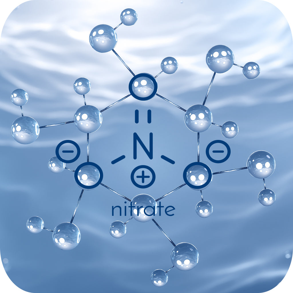 Image displaying the 'Nitrate' formula.